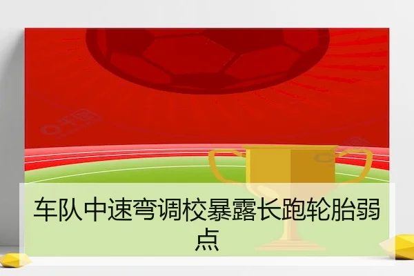 车队中速弯调校暴露长跑轮胎弱点